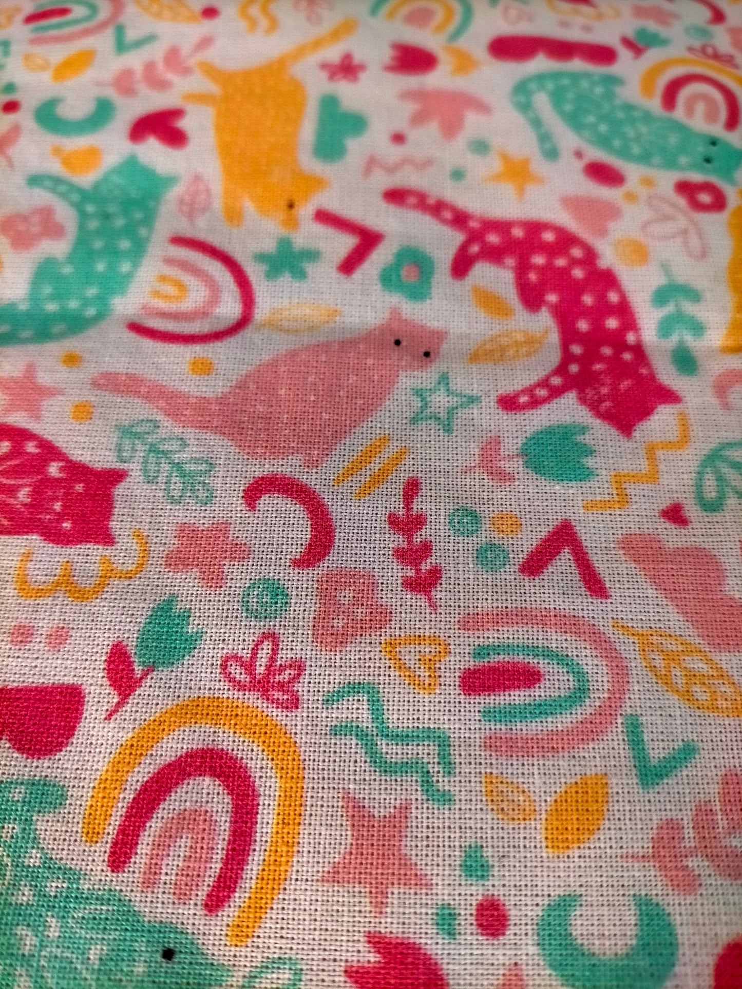 Bambi protège carnet de santé